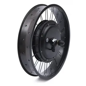 Electric Bicycle Conversion Kit, DYRABREST 20" E-Bike Front Wheel Frame Kit 20" 48V 1000W for Fat tire Bike Motor kit