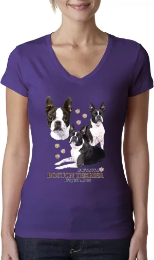 If It's Not a Boston Terrier It's Just a Dog Gift Dog Lover Womens Junior Fit V-Neck Tee
