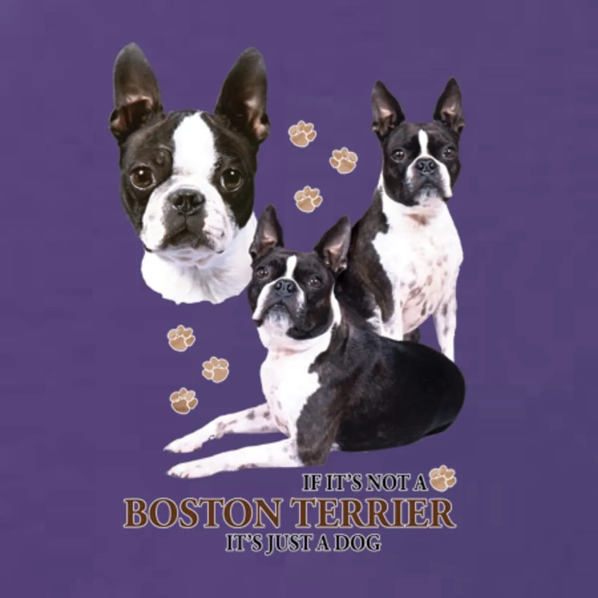 If It's Not a Boston Terrier It's Just a Dog Gift Dog Lover Womens Junior Fit V-Neck Tee