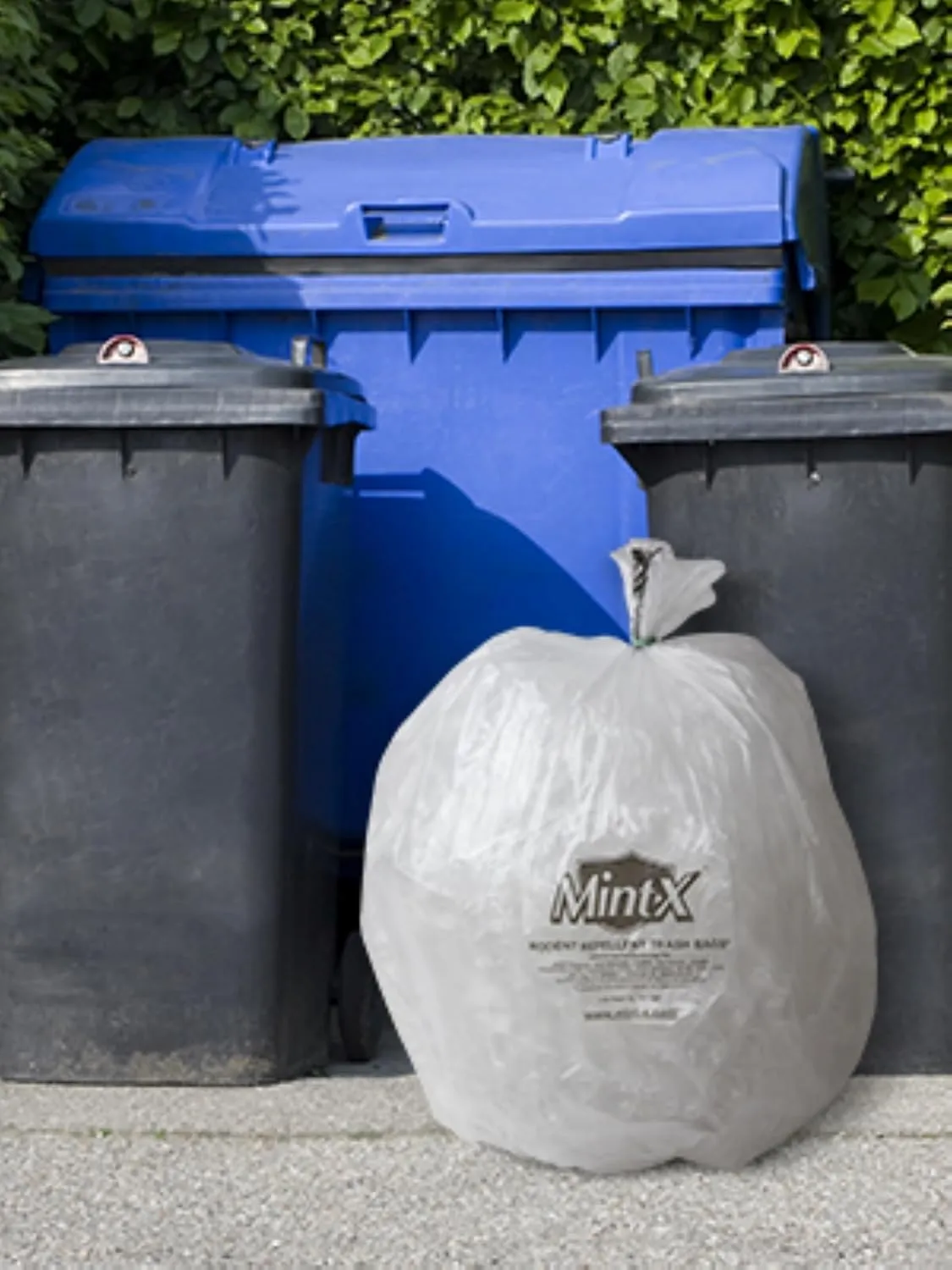 Mint-X Rodent Repellent Trash Bags, 1.3 Mil, Flat Seal, 58" Height x 38" Length, Clear (Pack of 100) (MX3858XHC)