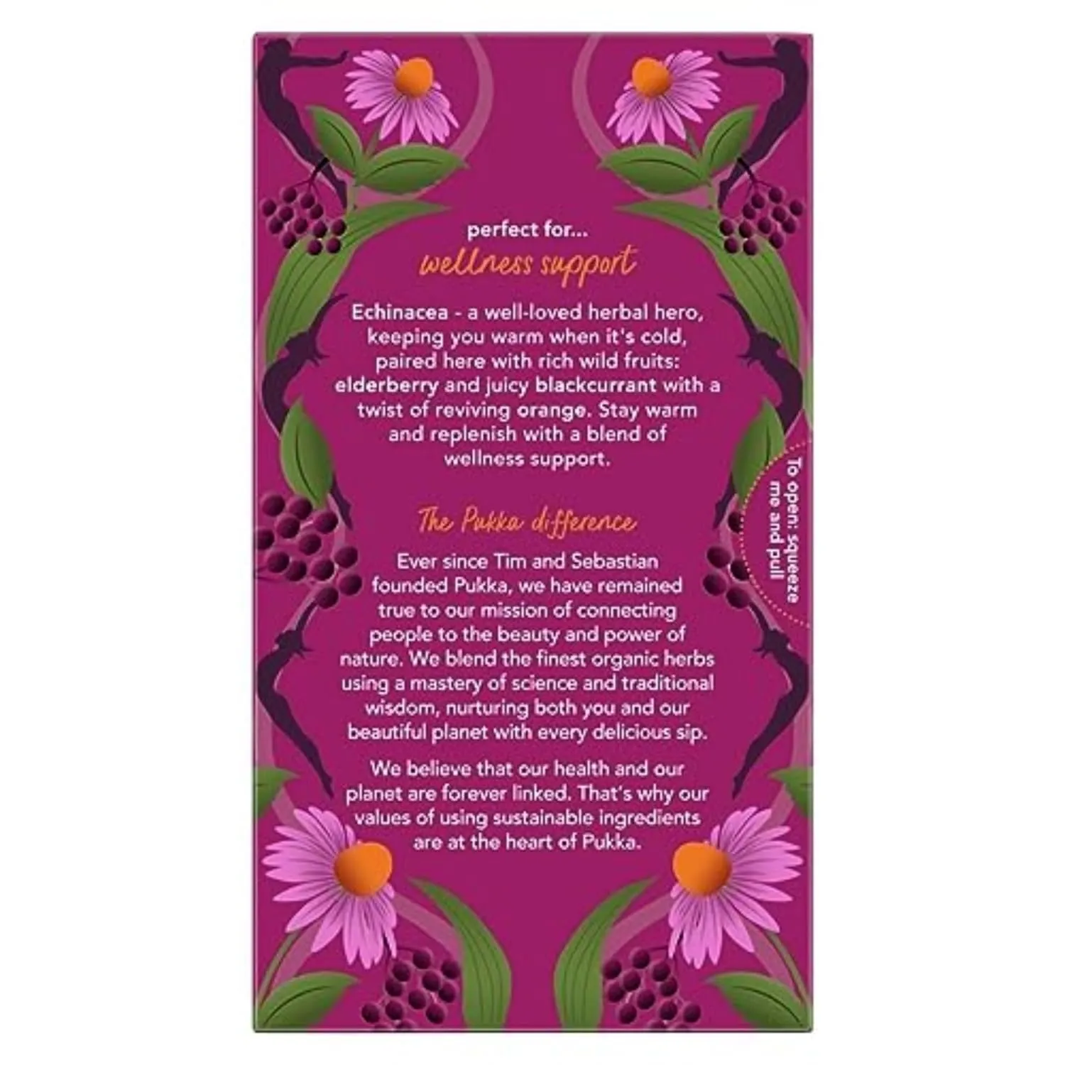 Pukka Organic Tea Bags, Elderberry & Echinacea Herbal Tea, Perfect for Wellness Support, Caffeine Free, 20 Count (Pack of 4) 80 Bags
