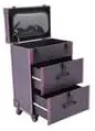 Rolling Makeup Case with wheels Large Cosmetic Organizer wheeled Train Makeup Travel Trolley Case Nail Artist Salon Storage Traveling Cart Trunk Suitcase (Black Purple)